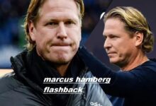 marcus hamberg flashback